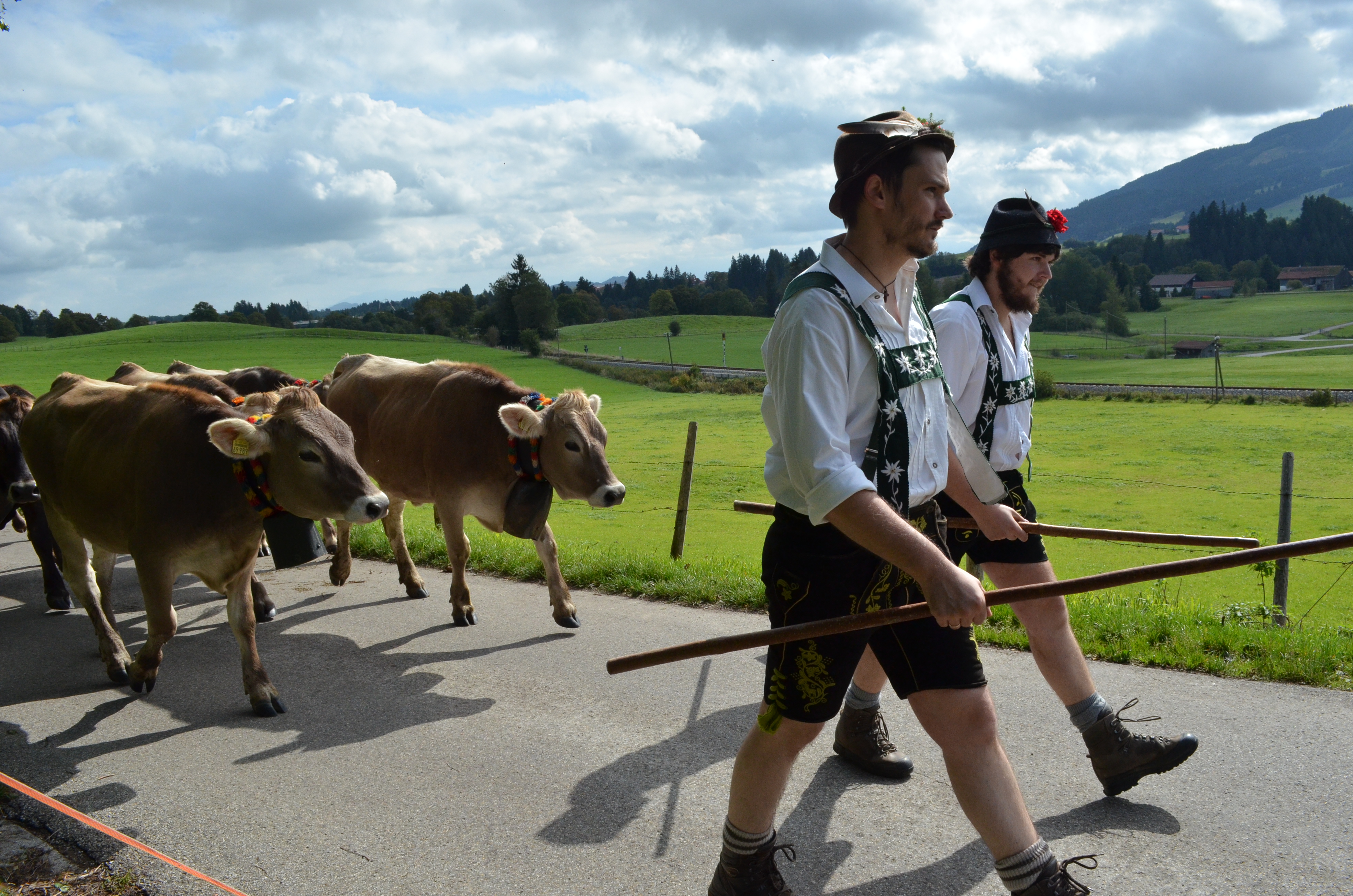 Viehscheid mit Einzug der Hirten <br> ©Susanne Heiss / Oy-Mittelberg