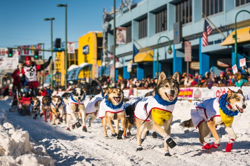 100 Jahre “Serum-Run nach Nome“ | Iditarod: Ein Rennen auf leisen Pfoten