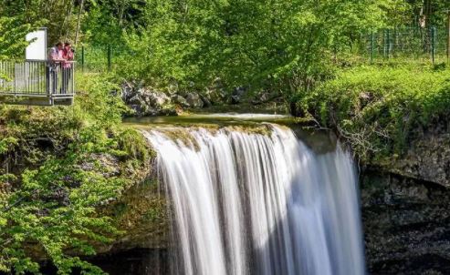 Gartenschau Lindau mit Besuch der Scheidegger Wasserfälle