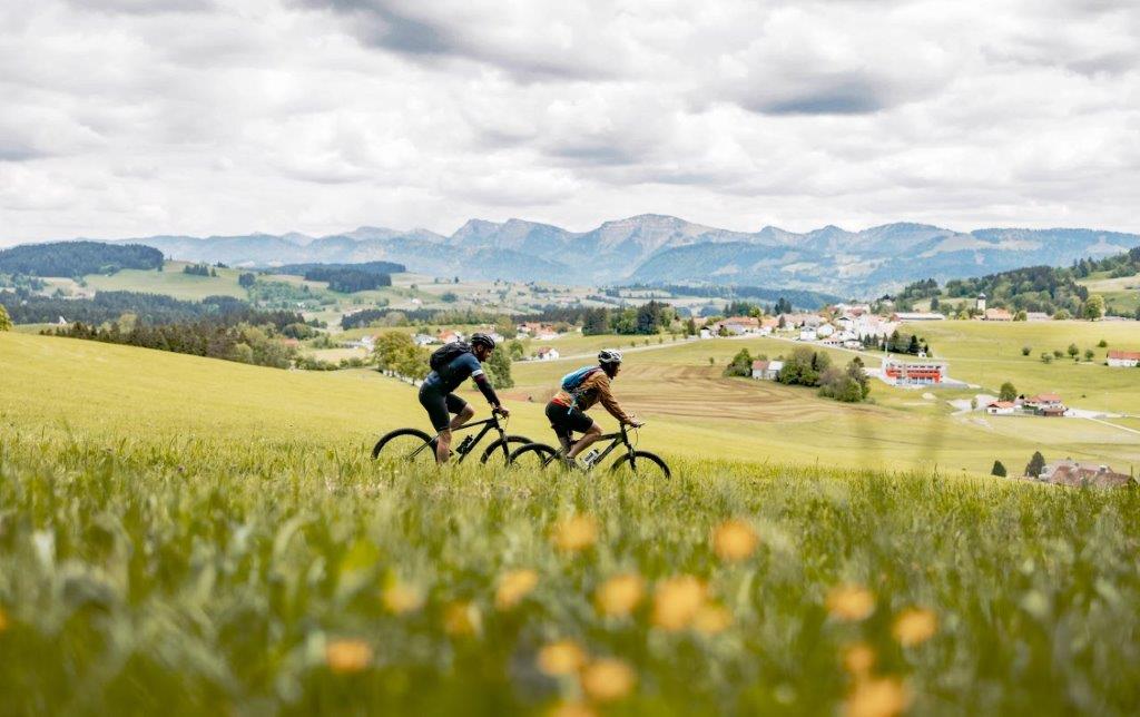 Radeln auf der Allgäuer Käsestraße: 165 Kilometer von den Alpen bis zum Bodensee