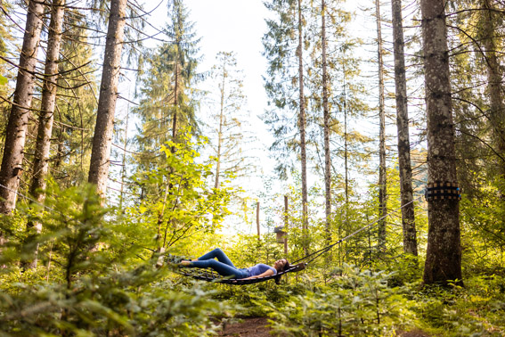 Rendezvous mit dem Wald: Kraftquelle Westallgäu